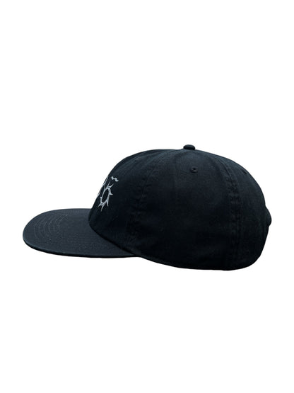 6-panel cap